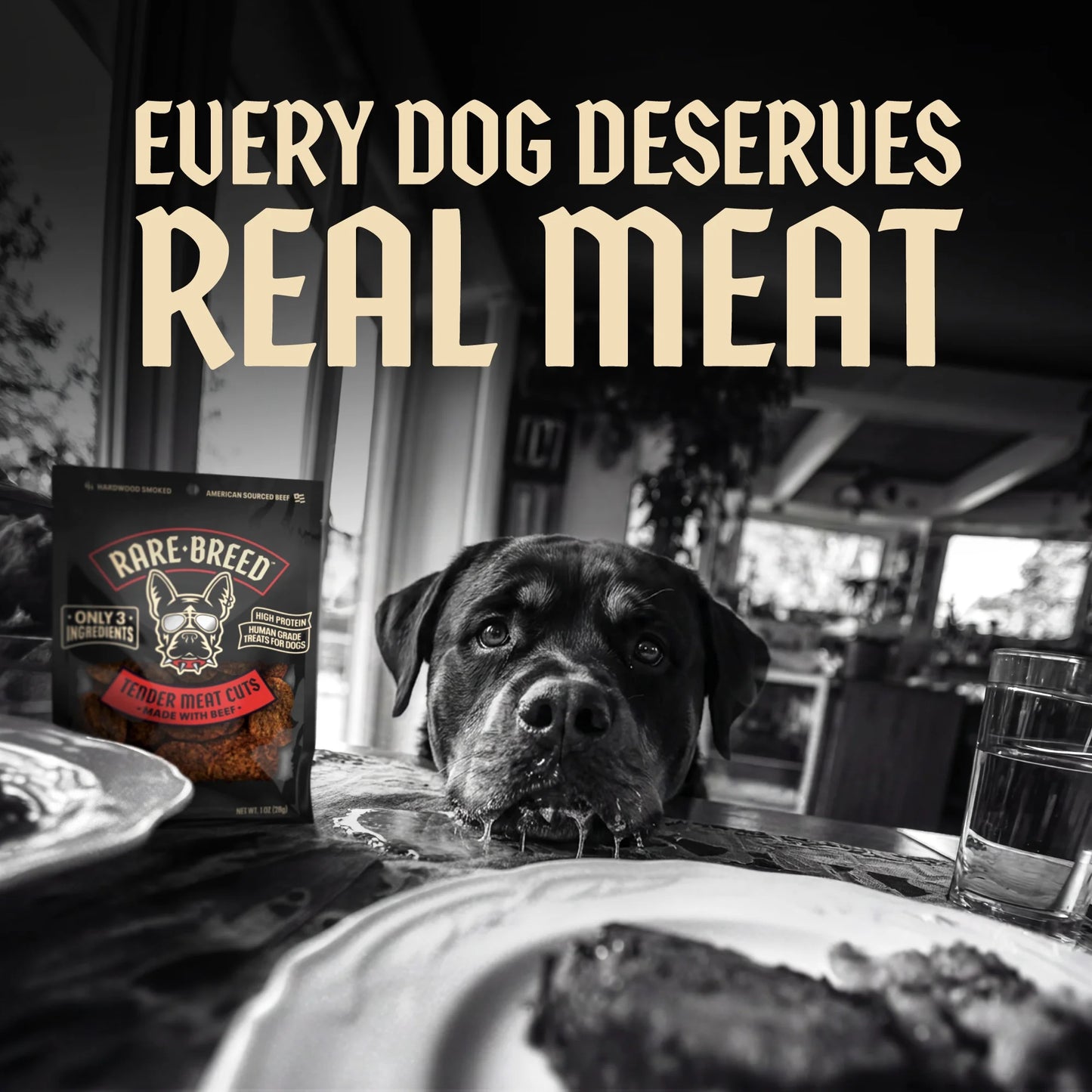 Dog Treats, Tender Meat Cuts Made with Beef, 3 Ingredients, Human Grade, 8 Count – 1 Ounce Multipack, for All Dog Sizes