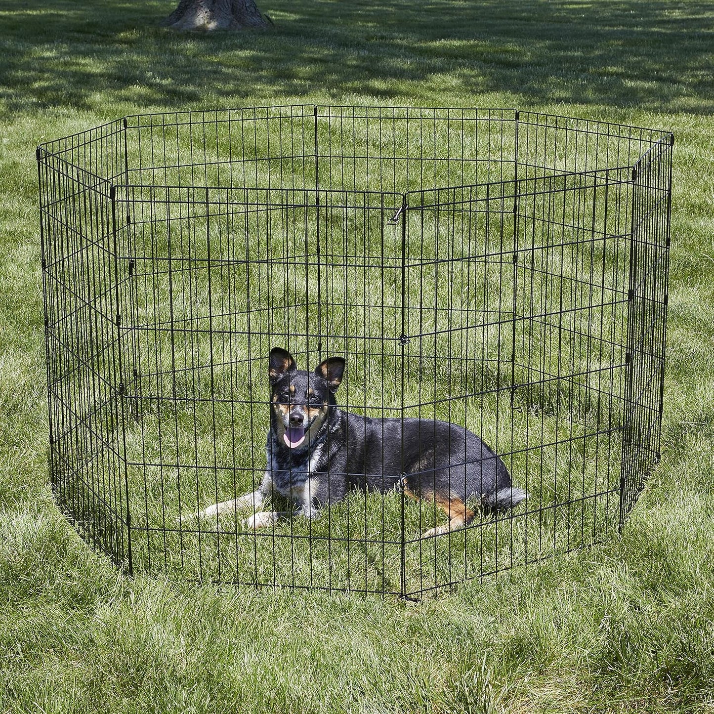 by  36-Inch Exercise Pen, for Indoor and Outdoor Use, 16 Sq Feet of Play, Folding Dog Pen, No Door Design for Maximum Security, Easy to Set Up, Foldable Pet Playpen