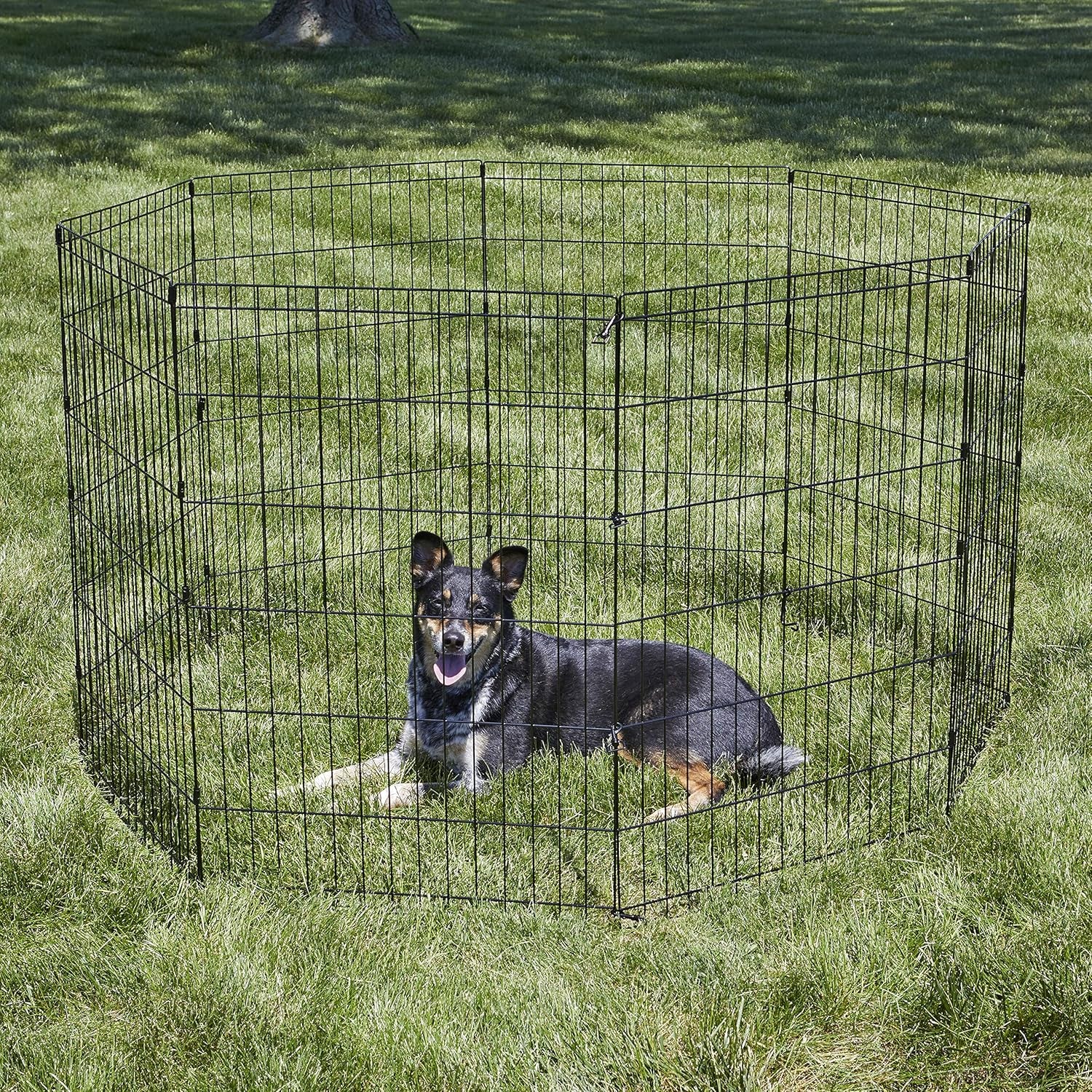 by  36-Inch Exercise Pen, for Indoor and Outdoor Use, 16 Sq Feet of Play, Folding Dog Pen, No Door Design for Maximum Security, Easy to Set Up, Foldable Pet Playpen