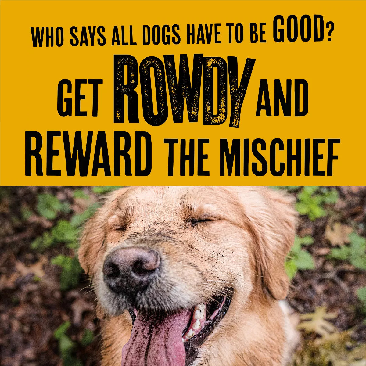 Rowdies Chicken Flavor Dog Treats - 6Oz