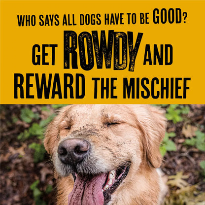Rowdies Chicken Flavor Dog Treats - 6Oz