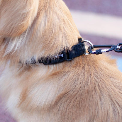 Small Dog Collar Quick-Release Black| Heavy-Duty Nylon Puppy Collar, Adjustable & Durable Pet Supplies for Boy & Girl Dogs (Small, Black)