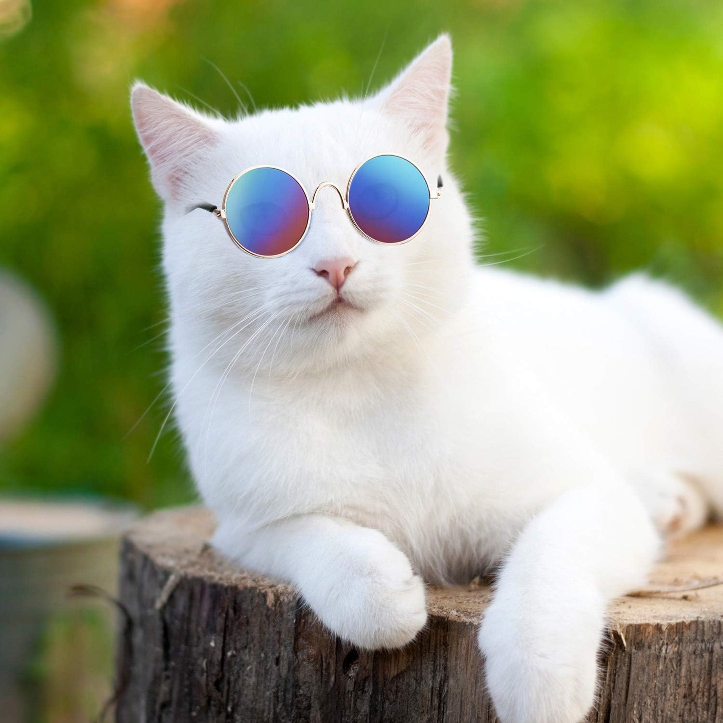 6 Pieces Cat Sunglasses Funny Pet Sunglasses Small Dog Sunglasses Classic Retro Circular Pomeranian Sunglasses Eyewear Photos Props Accessories Cosplay Glasses Black and Mix Reflective Color