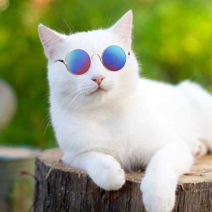 6 Pieces Cat Sunglasses Funny Pet Sunglasses Small Dog Sunglasses Classic Retro Circular Pomeranian Sunglasses Eyewear Photos Props Accessories Cosplay Glasses Black and Mix Reflective Color