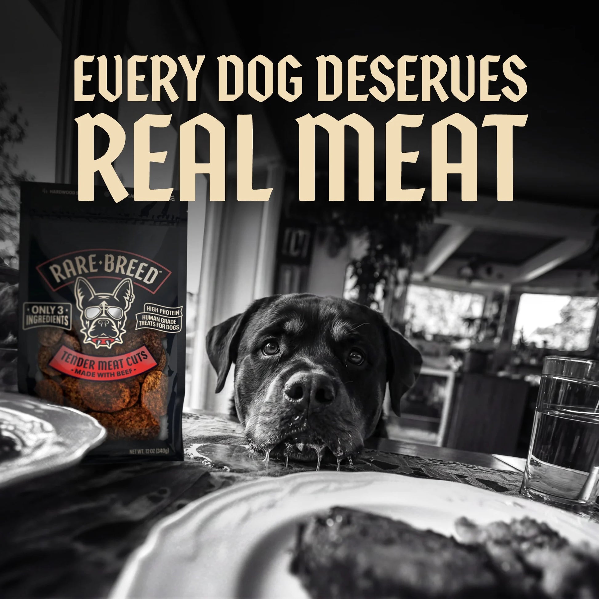 Dog Treats, Tender Meat Cuts Made W Beef, 3 Ingredients, Human Grade, 12 Ounce Pack, for All Size Dogs