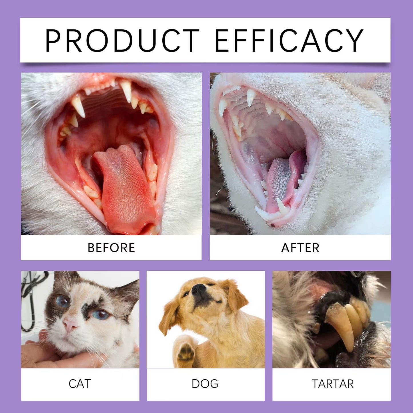 Pet Oral Cleaning Spray 50Ml Dogs Cats Teeth Clean Deodorant Prevent Calculus Remove Kitten Bad Breath Mouth Fresh Pet Supplies