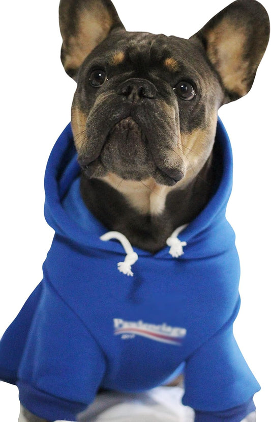 Stylish Streetwear Blue Dog Sweatshirt Tracksuits, Cats Hoodies, Dog Outfit for Cat Puppy Small Medium (3XL)